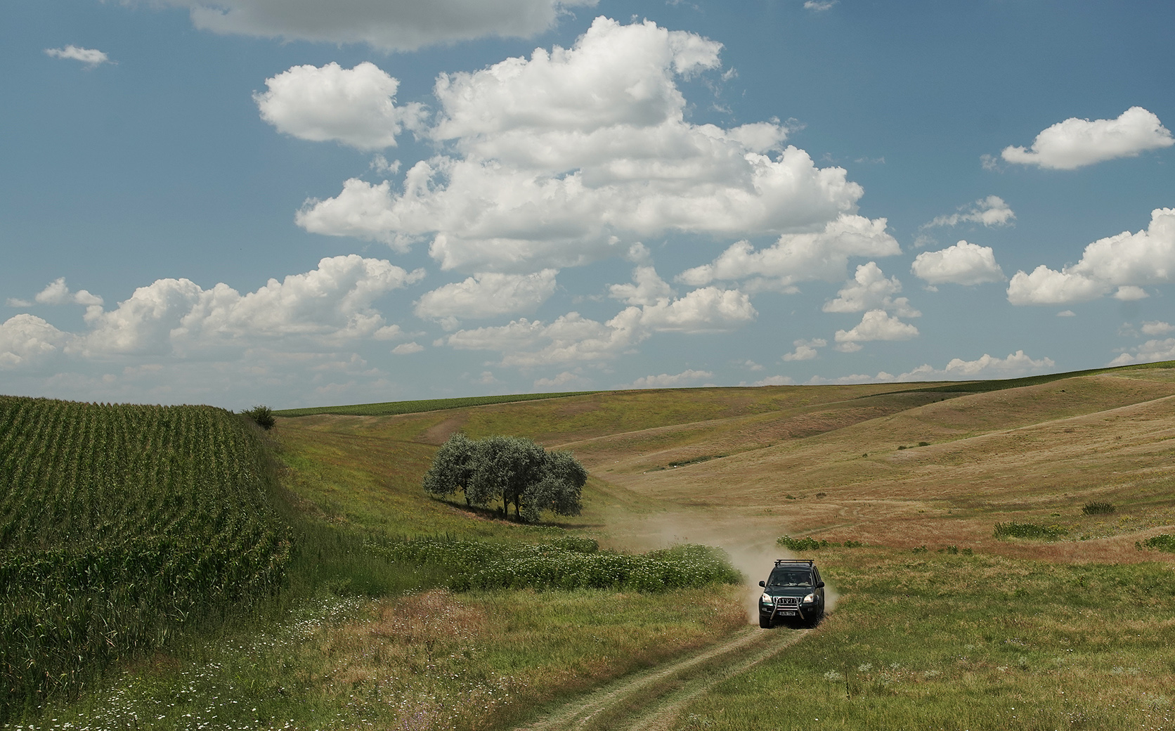 PhotoAromaVentura 15